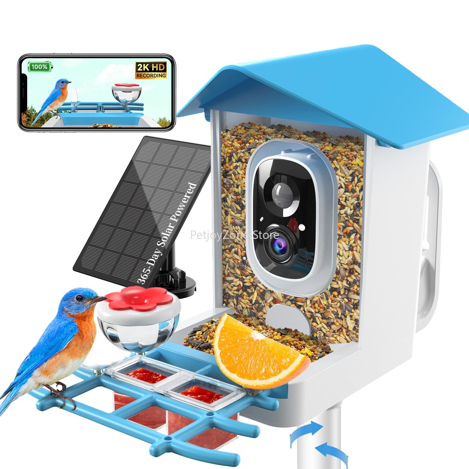 Smart Bird Feeder Camera - Smart Bird Feeder Camera 2K Live