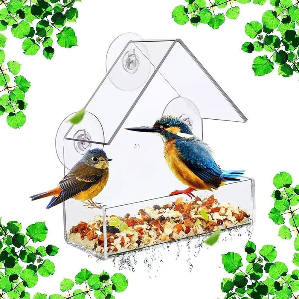 Smart Bird Feeder Camera - Acrylic Bird Feeder Clear Window Outside