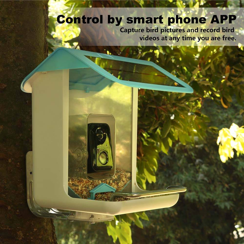 Outdoor Wildlife Wifi Camera C - đánh giá và giá Smart Bird Feeder Camera