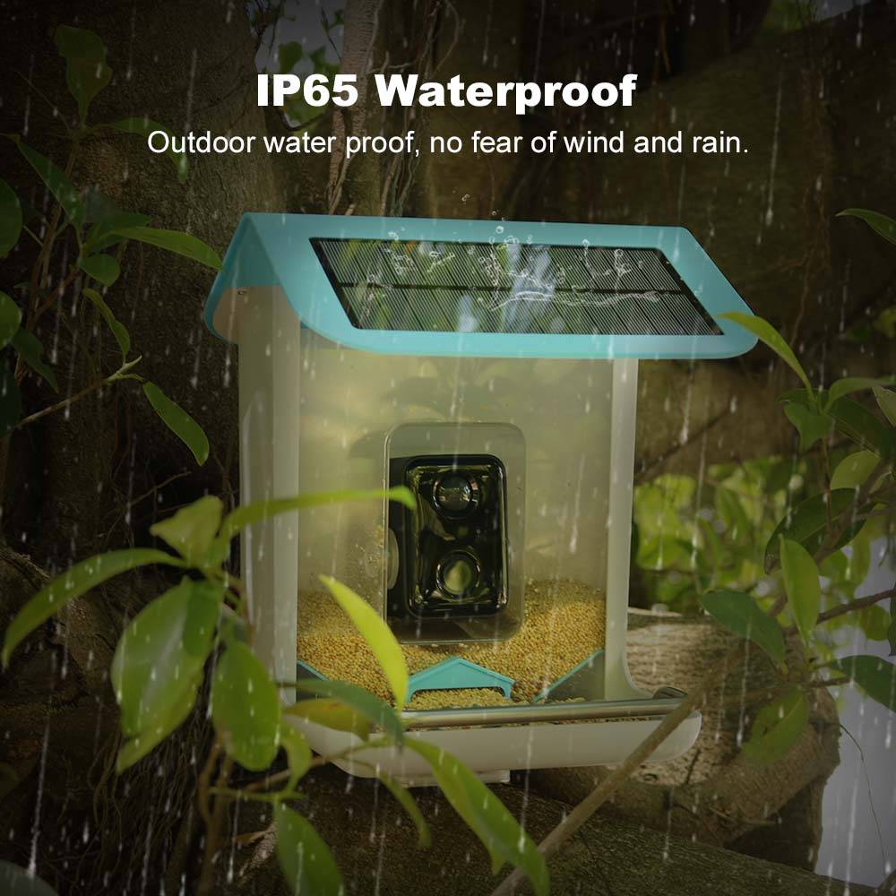 Outdoor Wildlife Wifi Camera C - đánh giá và giá Smart Bird Feeder Camera