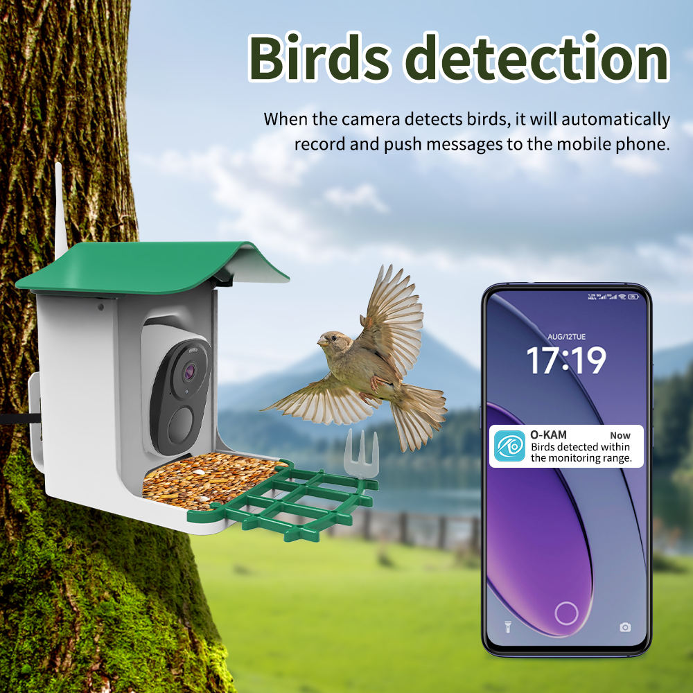 OEM 3MP O-KAM WIFI Color Night - đánh giá và giá Smart Bird Feeder Camera