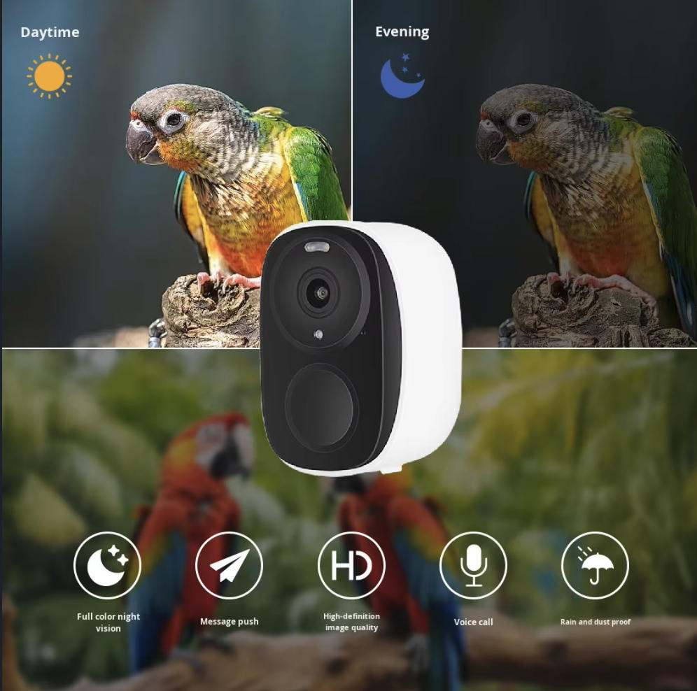 OEM 3MP O-KAM WIFI Color Night - đánh giá và giá Smart Bird Feeder Camera