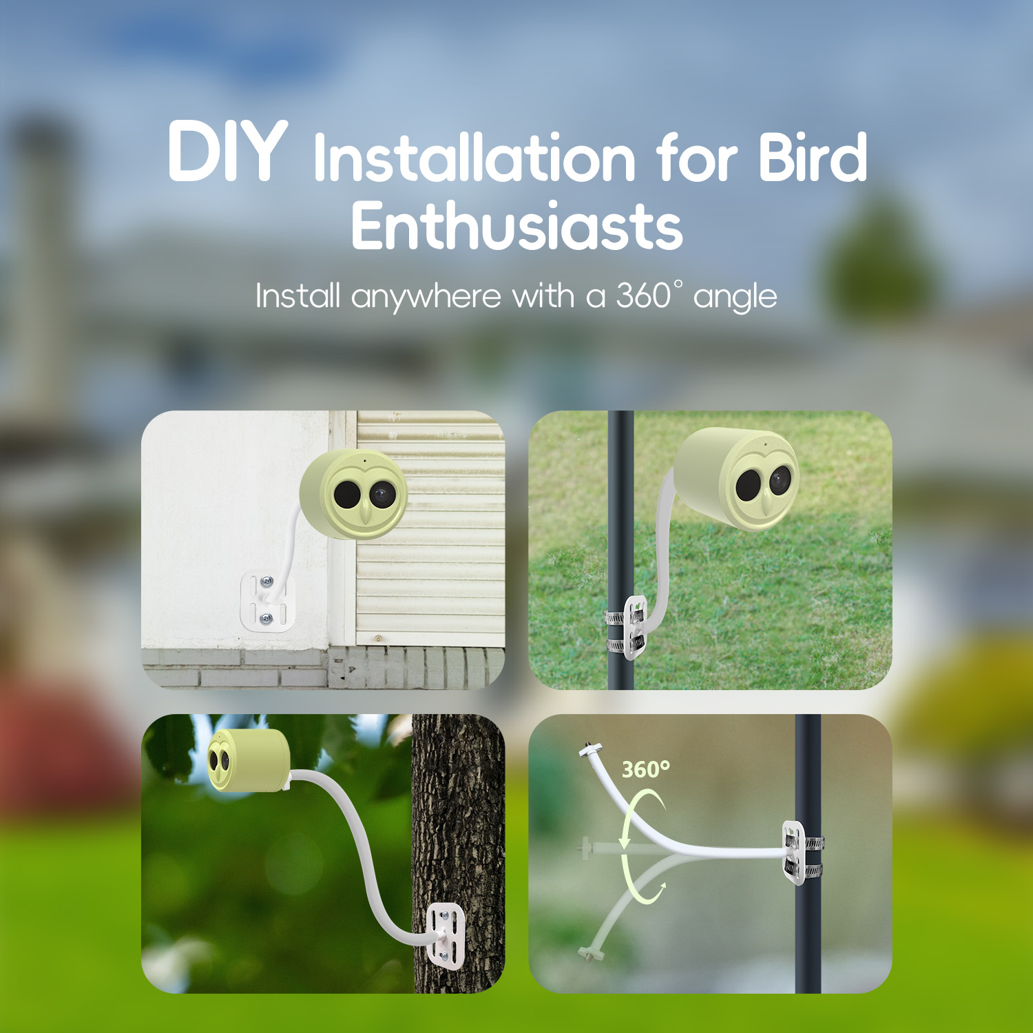 WILLFINE Automatic AI Bird Fee - đánh giá và giá Smart Bird Feeder Camera