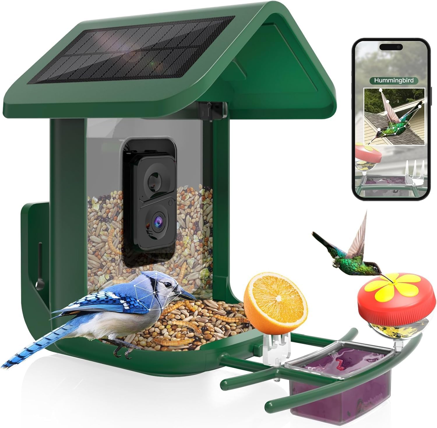 Smart Bird Feeder with Camera  - đánh giá và giá Smart Bird Feeder Camera