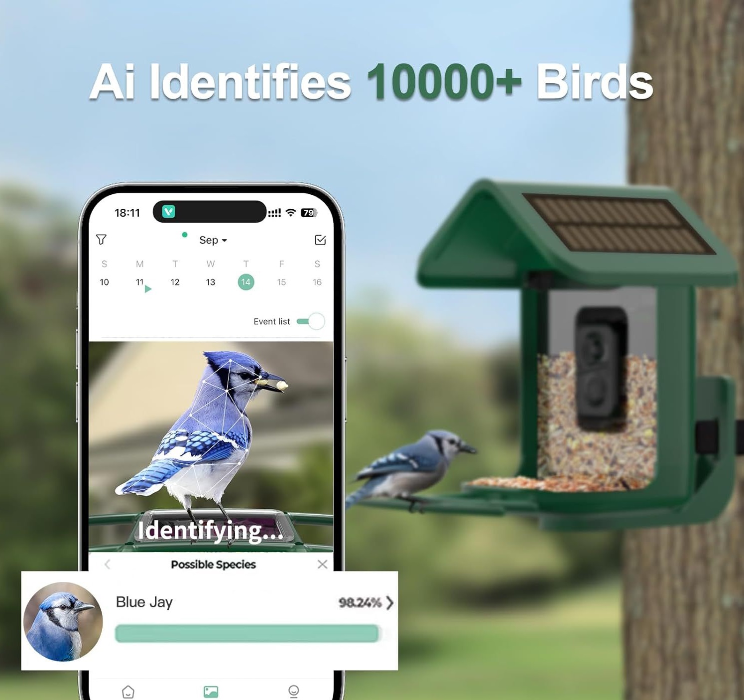 Smart Bird Feeder with Camera  - đánh giá và giá Smart Bird Feeder Camera