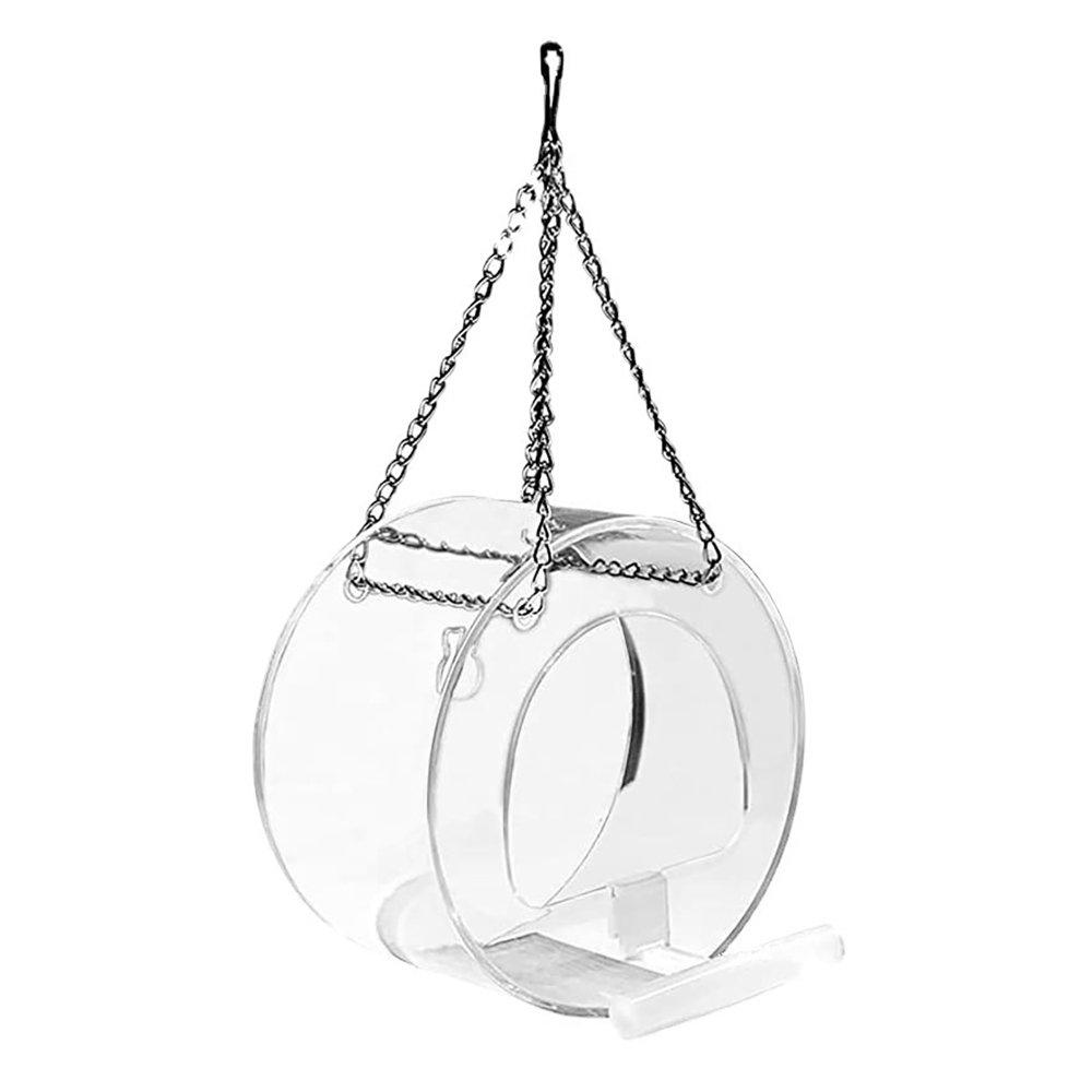 Bird Feeder With High Definiti - đánh giá và giá Smart Bird Feeder Camera