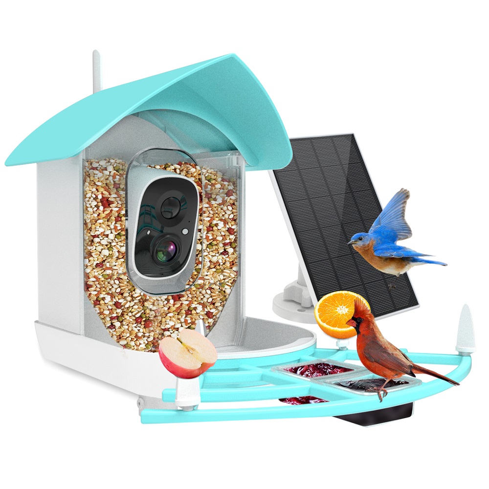 Wireless Automatic Pet Feeder  - đánh giá và giá Smart Bird Feeder Camera