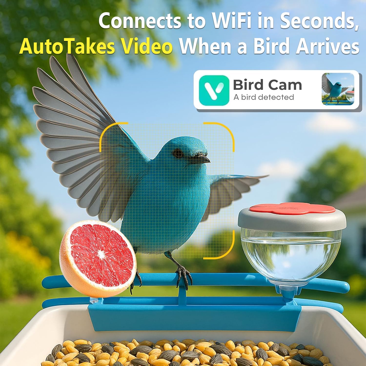 Smart Bird Feeder Camera 2K Li - đánh giá và giá Smart Bird Feeder Camera