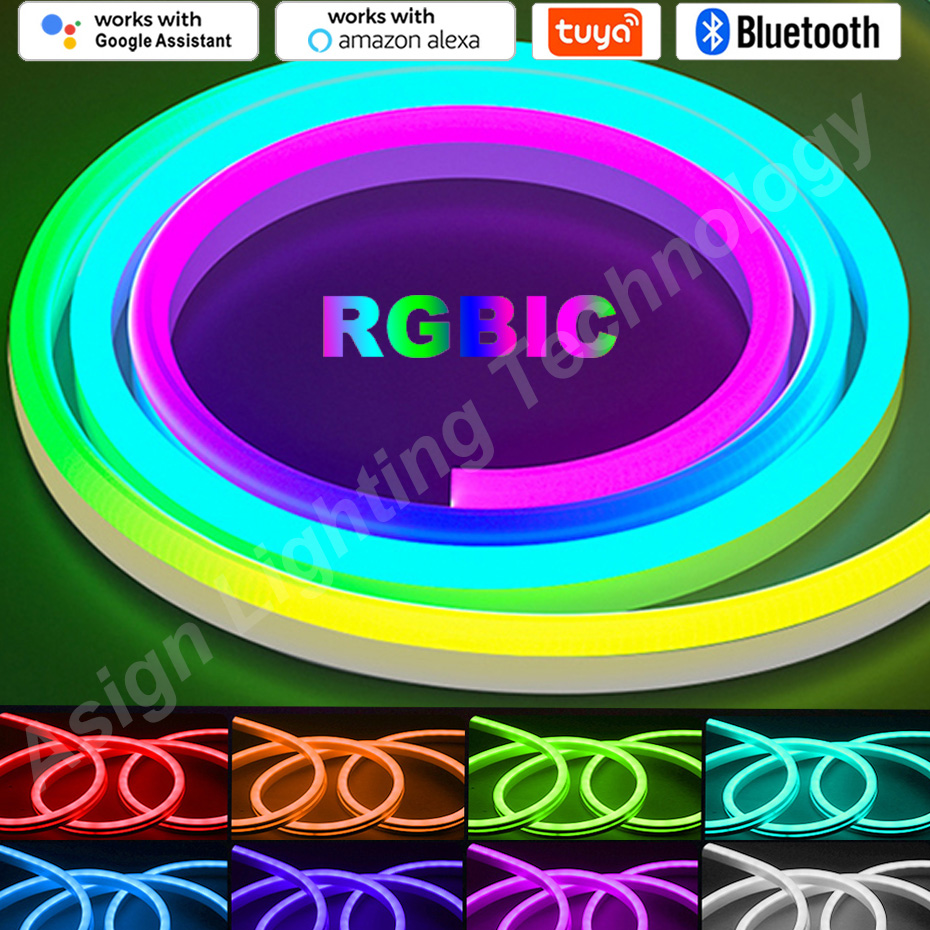 RGBIC LED Neon Strip 12V 96LED - đánh giá và giá Smart Garden Led Lights