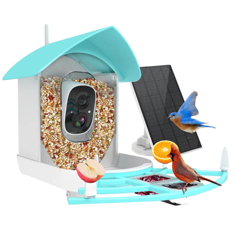 Smart Bird Feeder Night Vision - đánh giá và giá Smart Bird Feeder Camera