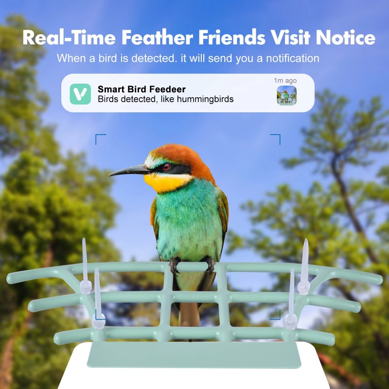 Smart Bird Feeder Night Vision - đánh giá và giá Smart Bird Feeder Camera