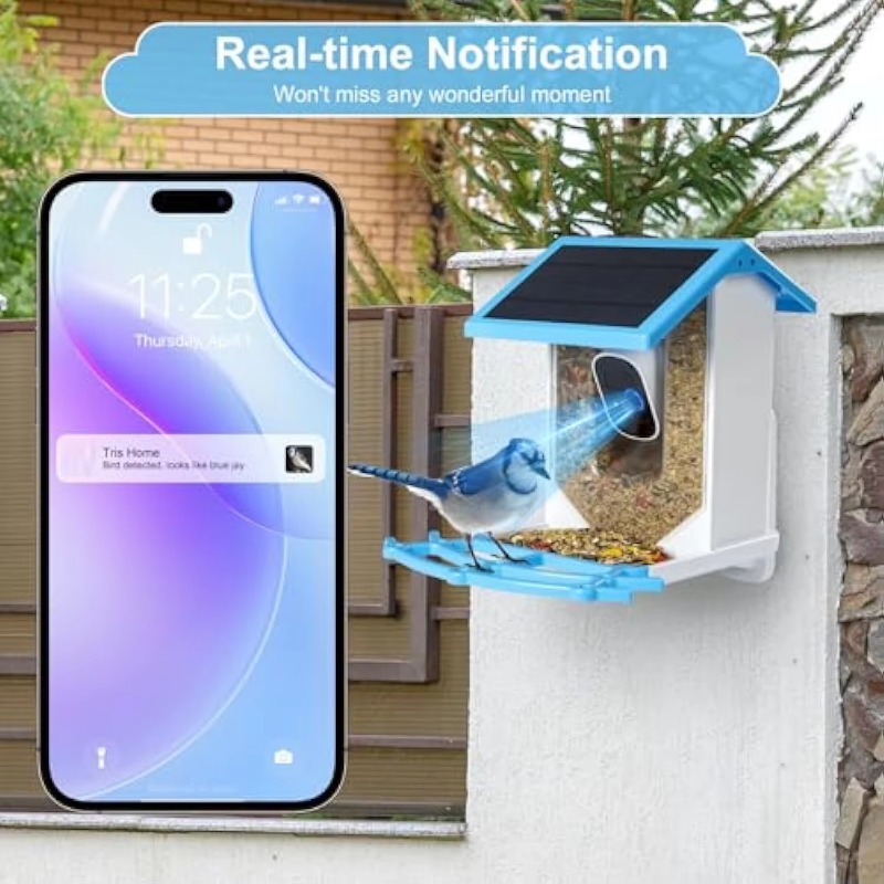 Smart Bird Feeder With Camera  - đánh giá và giá Smart Bird Feeder Camera