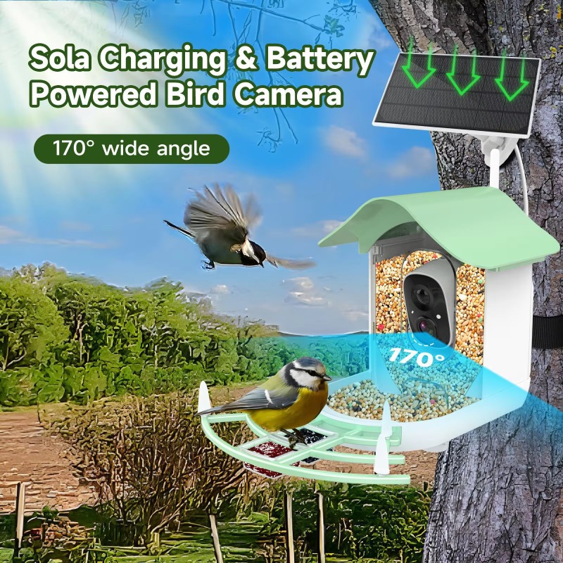 2026 App Video Auto Capture Ca - đánh giá và giá Smart Bird Feeder Camera