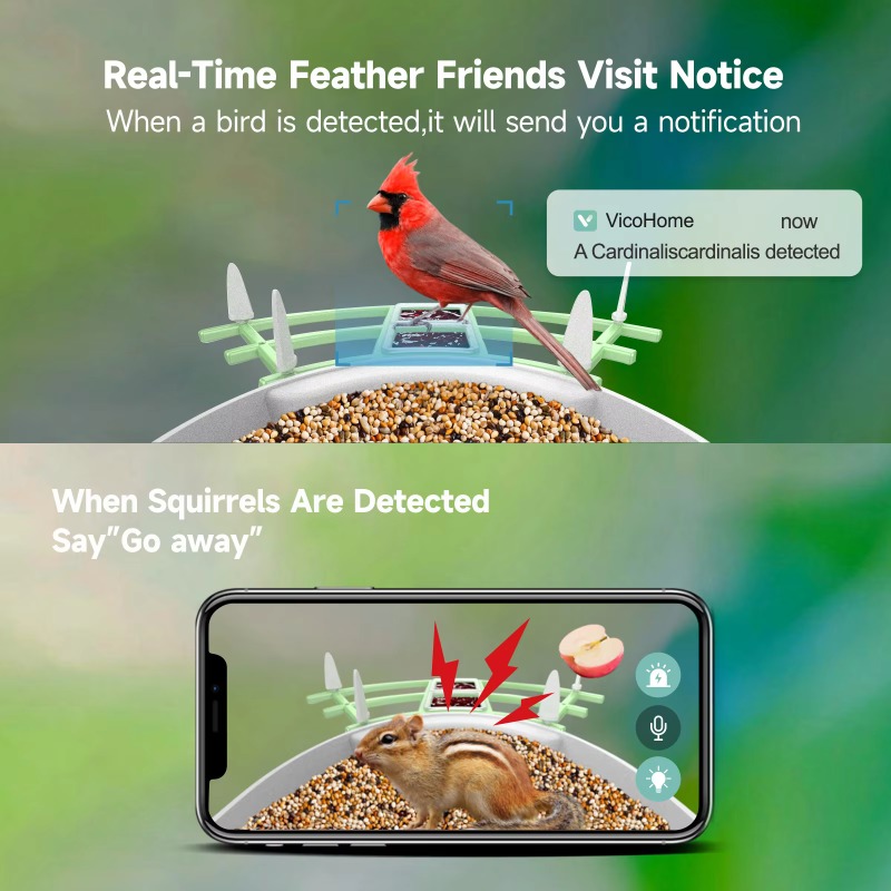 2026 App Video Auto Capture Ca - đánh giá và giá Smart Bird Feeder Camera